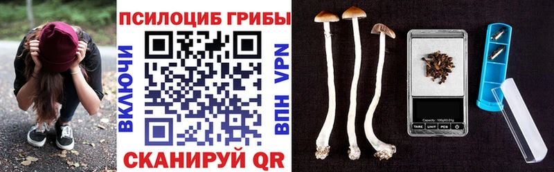 Галлюциногенные грибы ЛСД  где купить наркоту  Ак-Довурак 